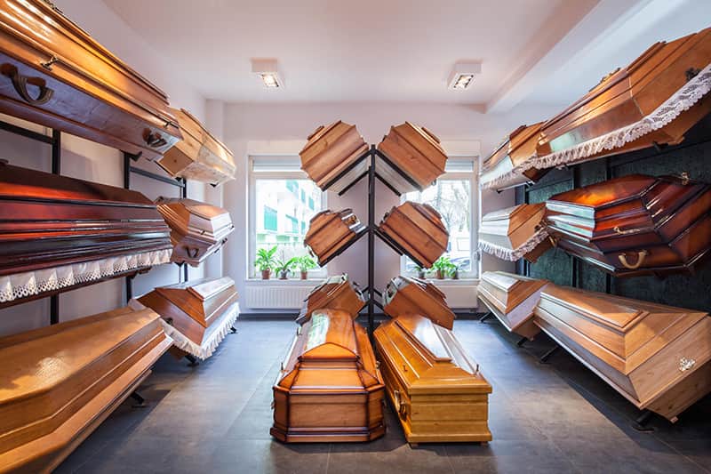 Gallery image 2